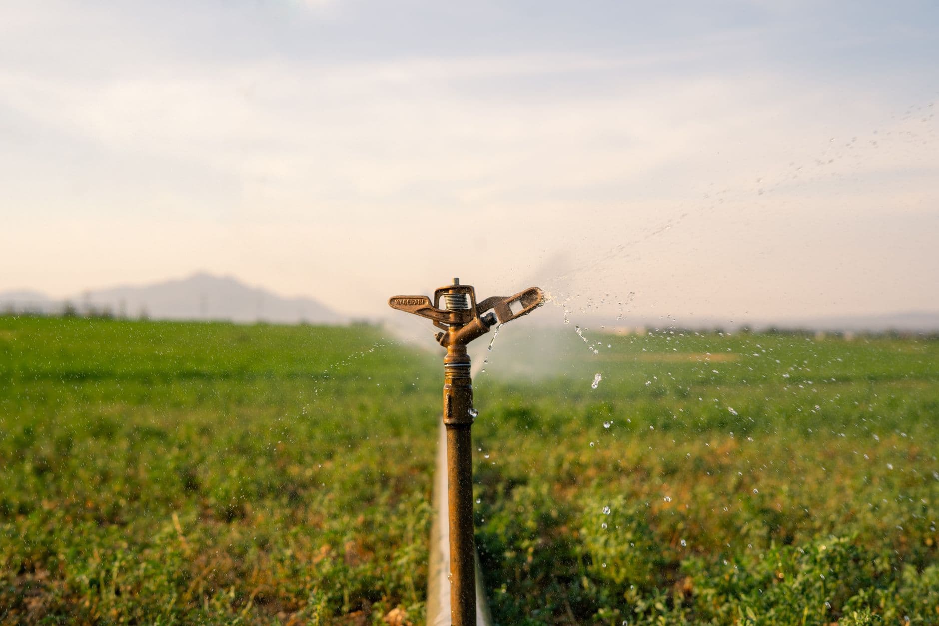 Drip Irrigation System Kit - 1 Hectare
